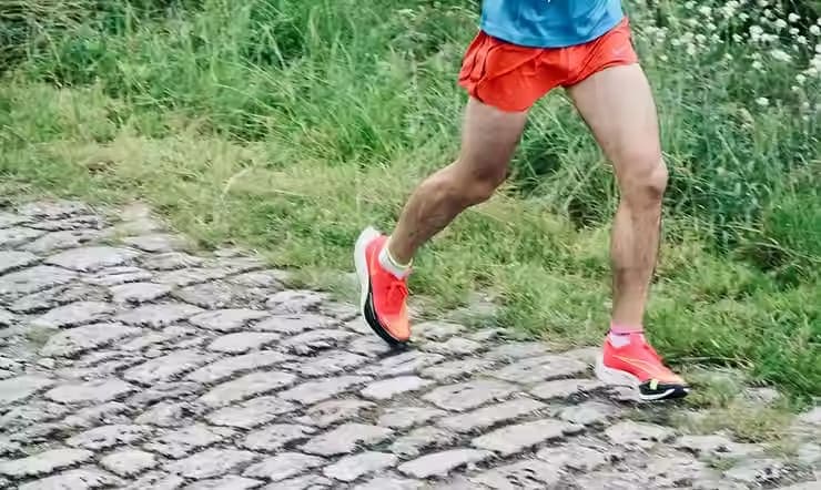 Article illustration